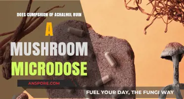 Alcohol and Microdosing: A Risky Mix?