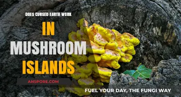 Cursed Earth vs. Mushroom Islands: Battle of the Blocks