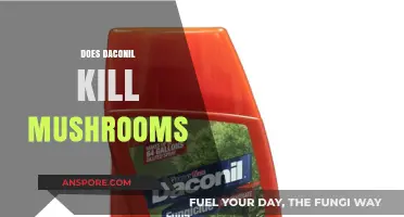 Daconil and Mushrooms: What You Need to Know