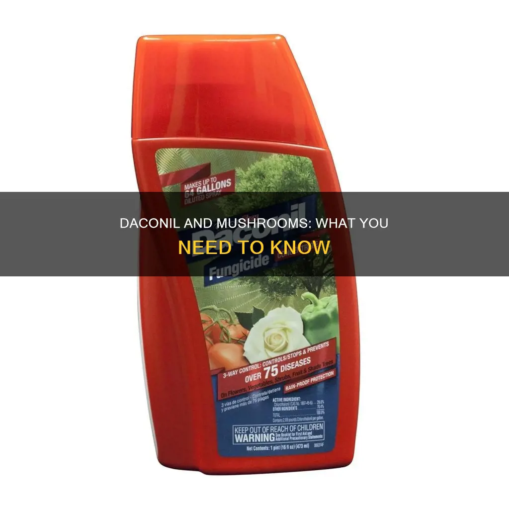 does daconil kill mushrooms