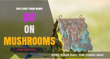 Daisy's Mushroom Perch: Exploring Mario's World