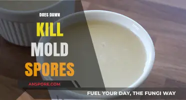 Can Dawn Dish Soap Effectively Eliminate Mold Spores in Your Home?