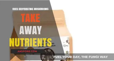 Do Dried Mushrooms Retain Their Nutritional Value?