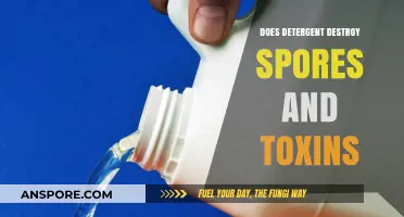 Detergent's Power: Can It Eliminate Spores and Neutralize Toxins Effectively?