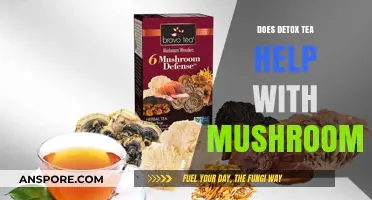 Detox Tea: Friend or Foe to Mushroom Dieters?