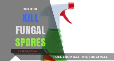 Can Dettol Effectively Eliminate Fungal Spores? A Comprehensive Analysis
