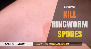 Can Dettol Effectively Eliminate Ringworm Spores? A Comprehensive Guide