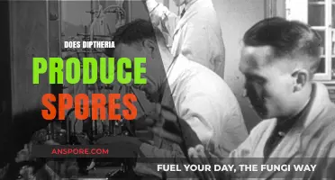 Does Diphtheria Produce Spores? Unraveling the Bacteria's Survival Mechanisms