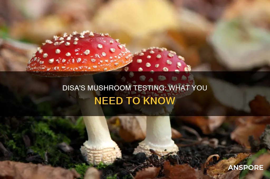 does disa tesr for mushrooms