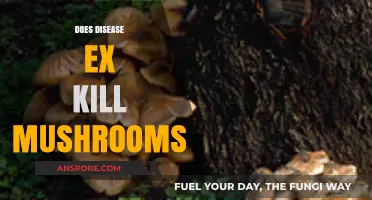 Disease X: Can Mushrooms Survive?