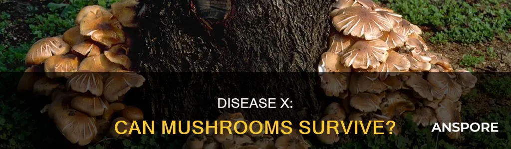does disease ex kill mushrooms