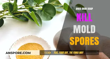 Can Dish Soap Effectively Kill Mold Spores? A Comprehensive Guide