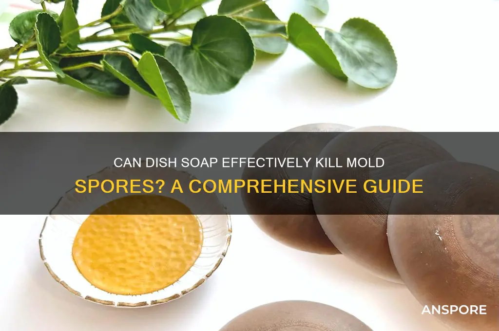 does dish soap kill mold spores