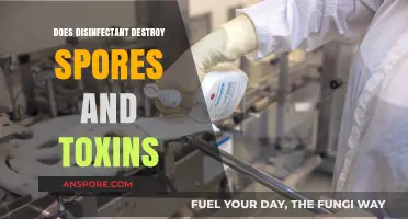 Disinfectants vs. Spores and Toxins: Effectiveness and Limitations Explained