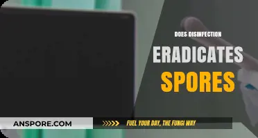 Disinfection vs. Spores: Can Cleaning Eradicate Tough Microbial Threats?