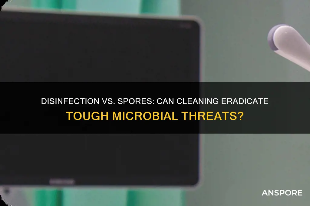does disinfection eradicates spores