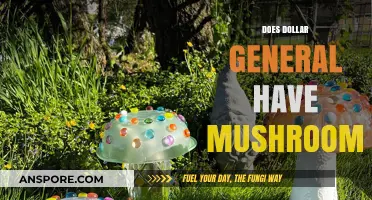 Dollar General Mushroom Hunt: What's Available?