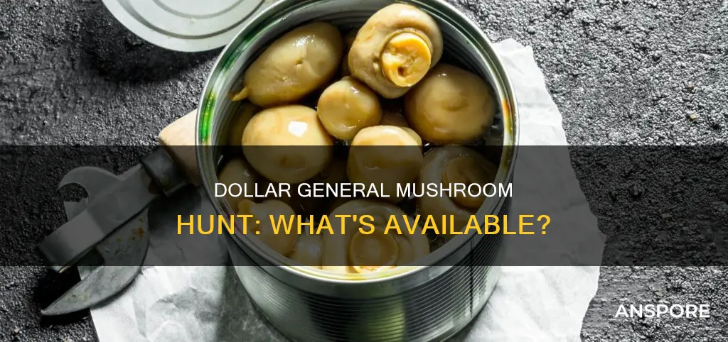does dollar general have mushrooms