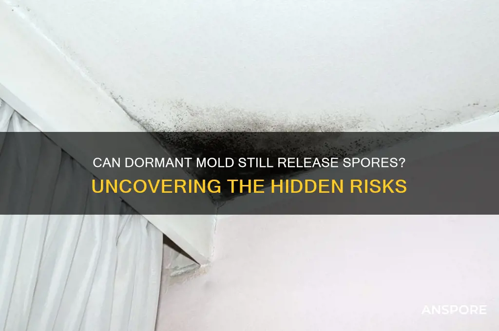 does dormant mold release spores