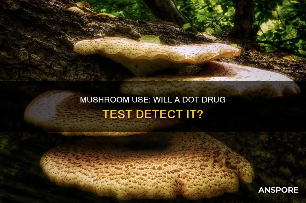 does dot pee test look for mushrooms
