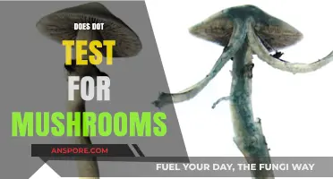 How Accurate Are Dot Tests for Mushroom Identification?