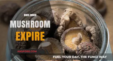 Dried Mushrooms: Do They Ever Expire?