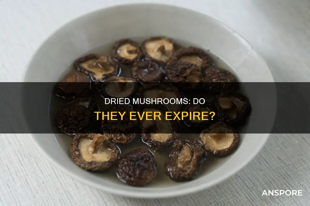 does dried mushroom expire