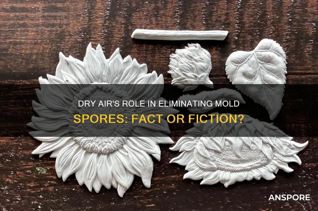 does dry air help kill mold spores