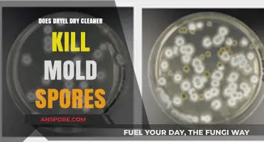 Dryel Dry Cleaner: Effective Mold Spores Killer or Not?