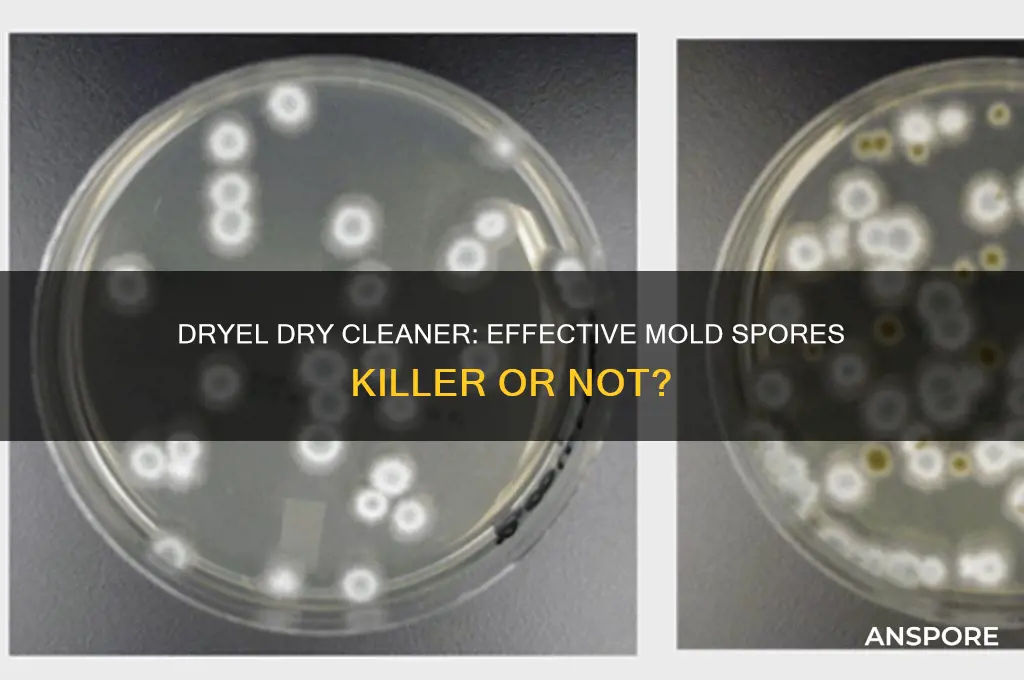 does dryel dry cleaner kill mold spores