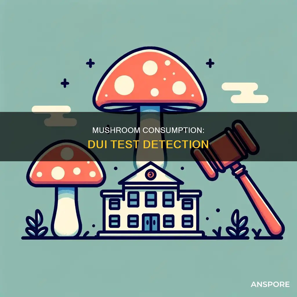 does dui test for mushrooms