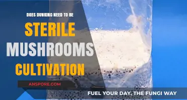 Dunking Sterile: A Must for Mushroom Cultivation?