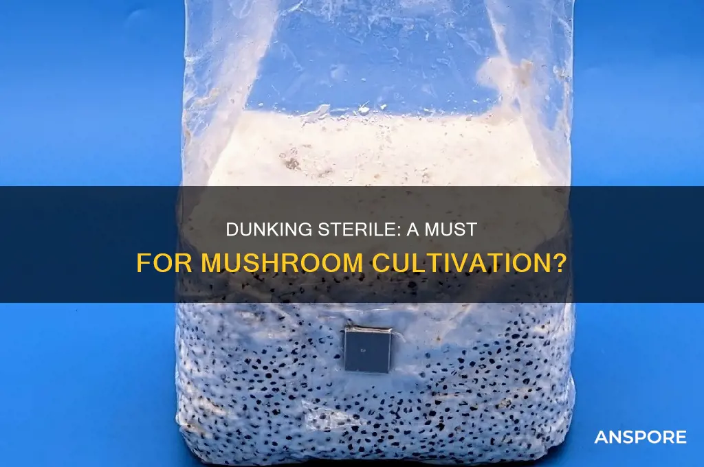 does dunking need to be sterile mushrooms cultivation