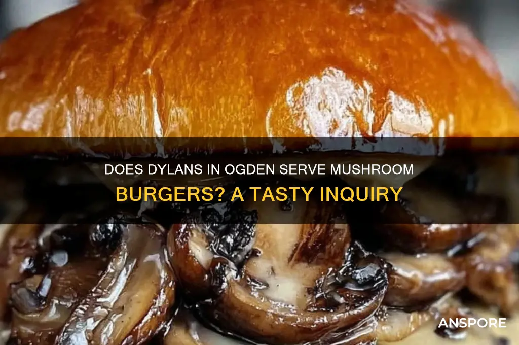 does dylans in ogden make mushroom burgers