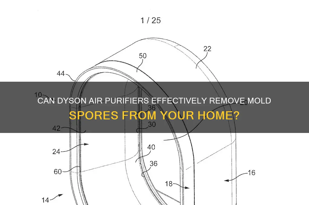 does dyson air purifier remove mold spores