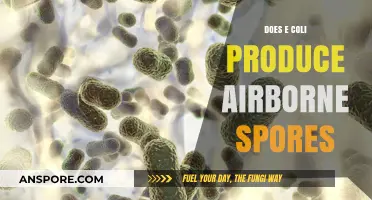 Does E. Coli Release Airborne Spores? Unraveling the Facts