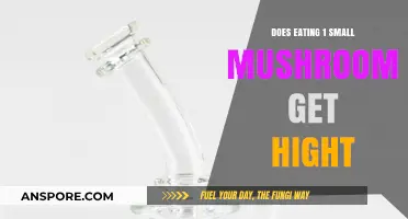 Can One Tiny Mushroom Really Make You Feel High?