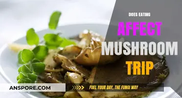 How Your Diet Influences a Mushroom Trip: Facts and Myths
