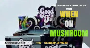 Chocolate and Mushrooms: Does It Intensify Your Psychedelic Trip?