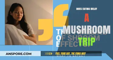 Can Eating Before Shrooms Delay Your Psychedelic Experience?