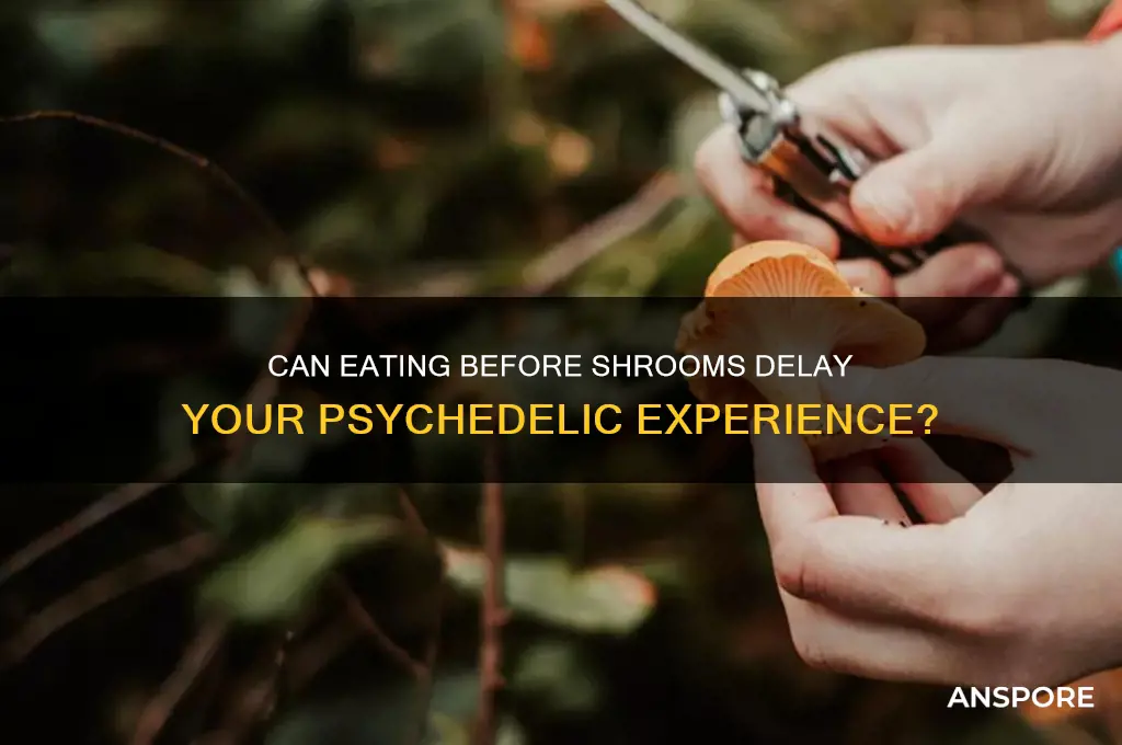 does eating delay a mushroom trip