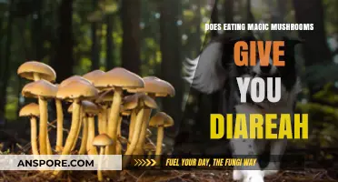 Magic Mushrooms and Diarrhea: Unraveling the Digestive Side Effects
