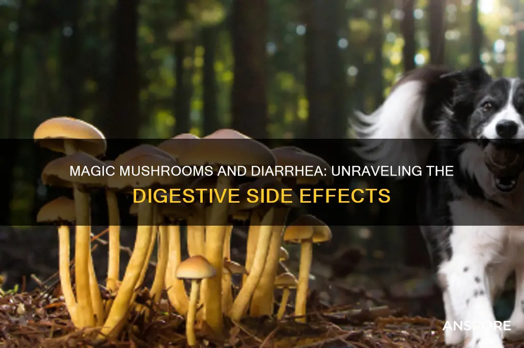 does eating magic mushrooms give you diareah