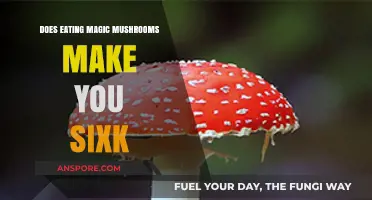 Can Magic Mushrooms Make You Sick? Exploring the Risks and Effects