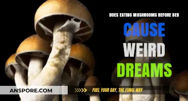 Mushrooms Before Bed: Unraveling the Link to Vivid Dreams