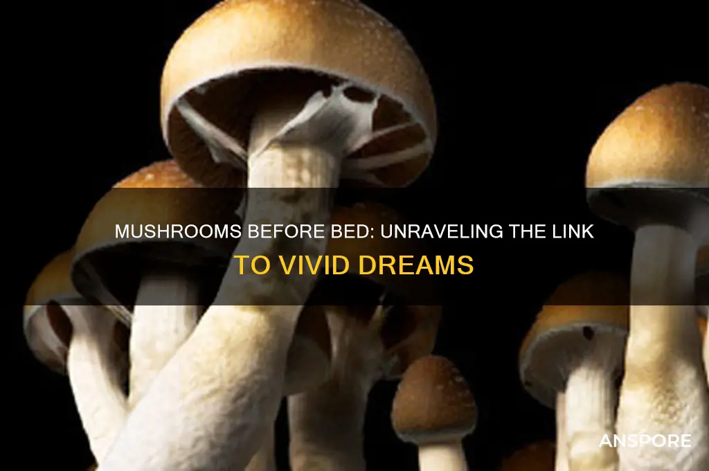 does eating mushrooms before bed cause weird dreams