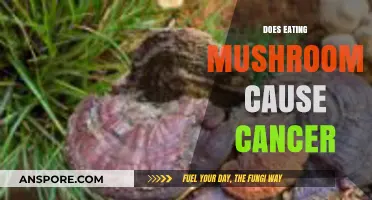 Mushrooms and Cancer: Separating Fact from Fiction in Your Diet