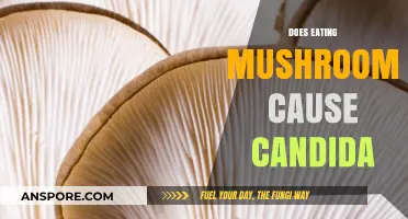Mushrooms and Candida: Debunking Myths About Fungal Foods and Yeast