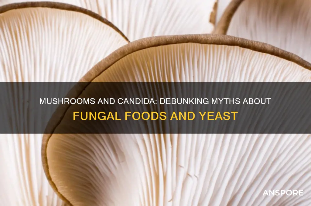 does eating mushrooms cause candida