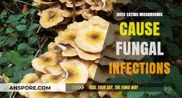 Can Eating Mushrooms Lead to Fungal Infections? Debunking the Myth